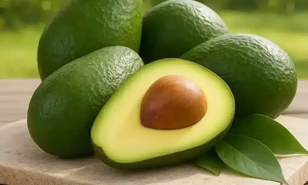 Alpukat: Buah Lembut dengan Segudang Rahasia Kesehatan Alami