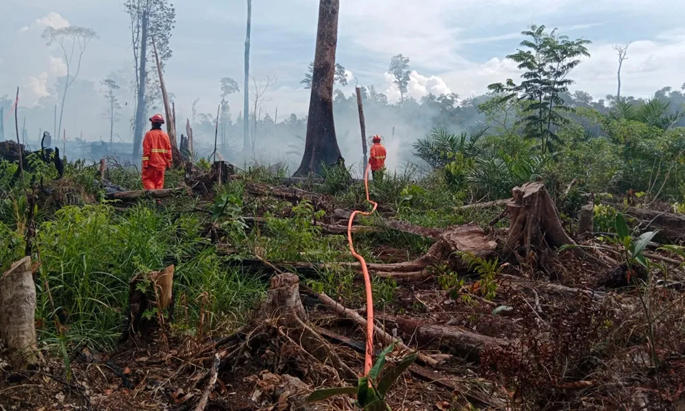 Kebakaran Hutan dan Lahan di Kalampising Berhasil Dipadamkan, Respon Cepat BPBD Lumbis Jadi Kunci