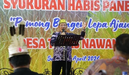 Panen Raya Teras Nawang Simbol Kemandirian Pangan Kalimantan Utara