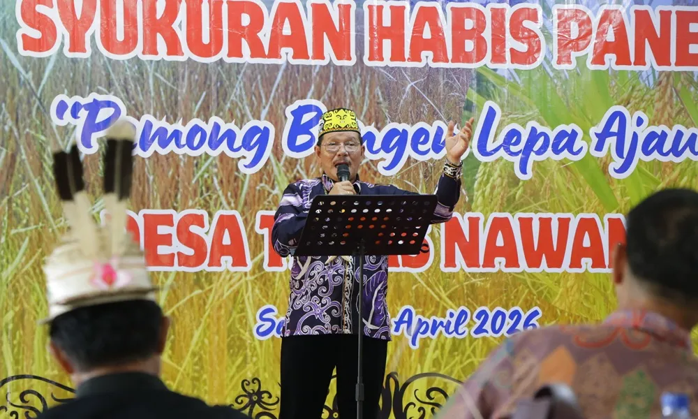 Panen Raya Teras Nawang Simbol Kemandirian Pangan Kalimantan Utara